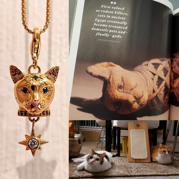 Meet your Posher, Michelle 🙇🏻♀️ - Picture 8 of 16